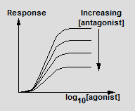 Antagonist