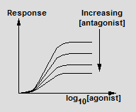 Antagonist