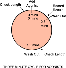 Three Minute Cycle